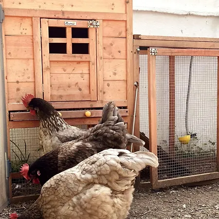 Unique In With Golf Views *