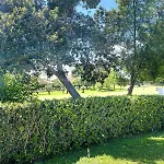 Villa Unique In With Golf Views *