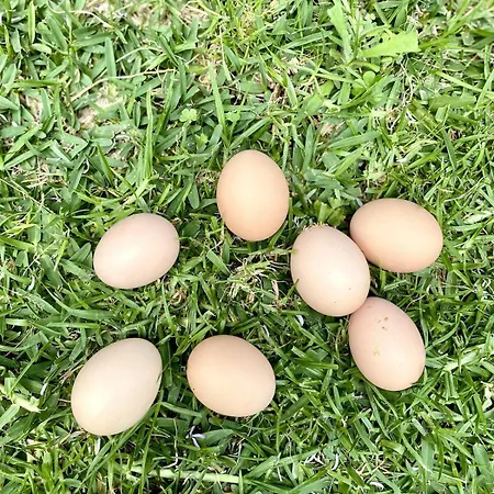 Unique In With Golf Views Villa *